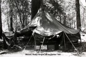 MisoolIMG_2199-001.JPG