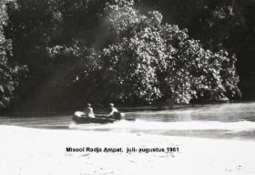 MisoolIMG_2209-001.JPG