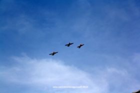 IMG_6663-1.JPG