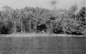 image-15.jpg