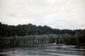 Waigeo-Sorong mei 1961,KLM3509Parang6.jpg