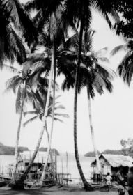 Waigeo-Sorong, mei 1961,KLM7736Parang6.jpg