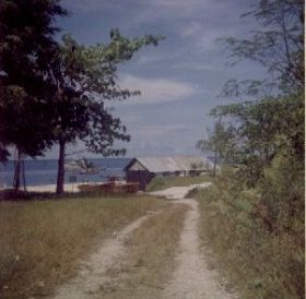 image-11.jpg