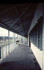 KL0064Ballustrade.jpg