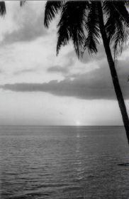 copy of nieuw guinea 1962.jpg