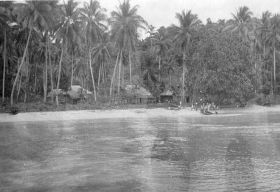 Copy (1) of Koos29.jpg