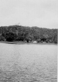 image-6 Manok 1961, Antoon,c@rol,map080908.jpg