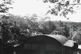 kl0100.jpg