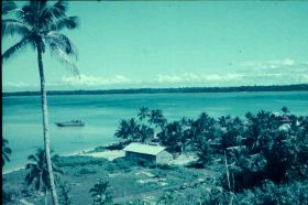 TondeZwart,Kaimanabaai (2).jpg