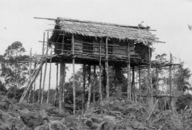 Antoon,Woning bij tuin,Kladi,oebi,pisang.jpg