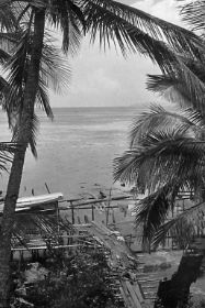 Scannen0089Biak.jpg