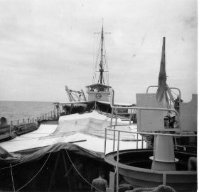 waigeo 1-1.jpg
