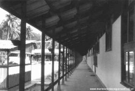 T.Kaimana11.jpg