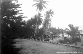 T.Kaimana15.jpg