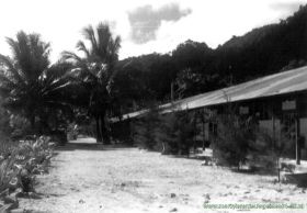 T.Kaimana5.jpg