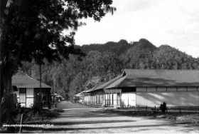 T.KaimanaKota2000A.jpg