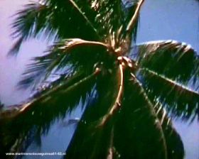 20100201-160751.jpg