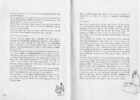 Nieuw Guinea Torn 018-1.jpg