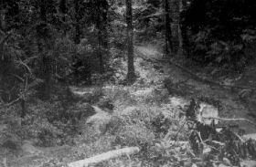 image-254.jpg