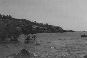 image-260.jpg