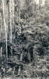 de jappen trap gaat 50 graden omhoog.c@rol,map,020509-1.jpg