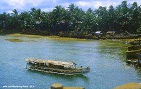 U.Biak1.jpg