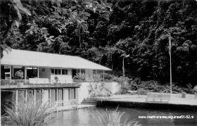 image-4.jpg