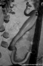 IMG_3640-1.JPG