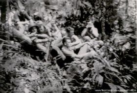 image-68.jpg
