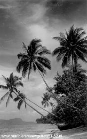 image-73.jpg
